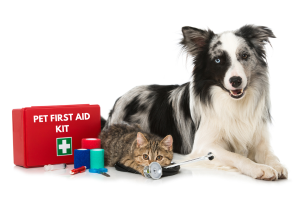 pet first aid and cpr certification