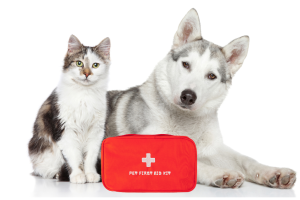 pet first aid and cpr training hawaii